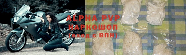 PSILOCYBIN Белокуриха