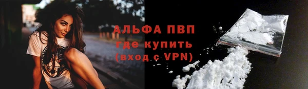 PSILOCYBIN Белокуриха