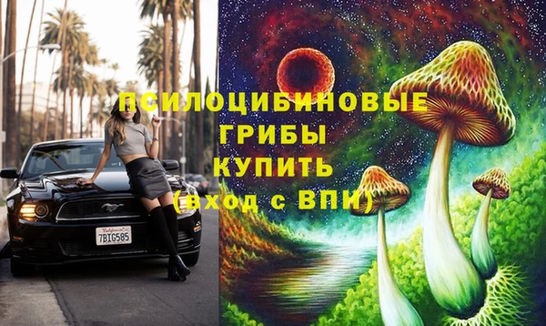 PSILOCYBIN Белокуриха
