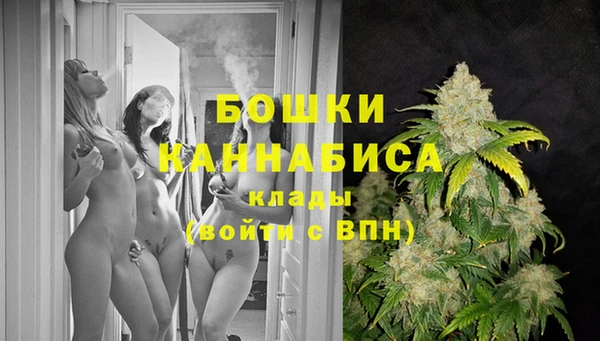 PSILOCYBIN Белокуриха