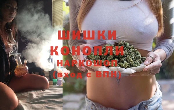 PSILOCYBIN Белокуриха