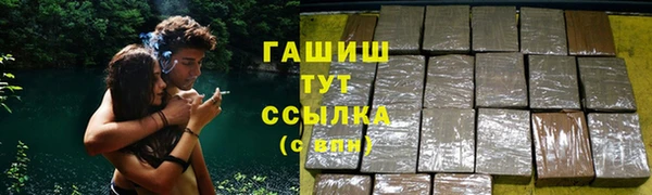 PSILOCYBIN Белокуриха